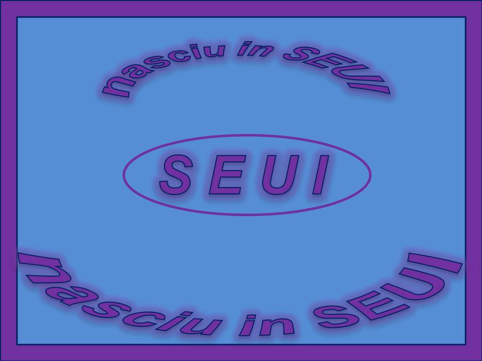 Made in SEUI